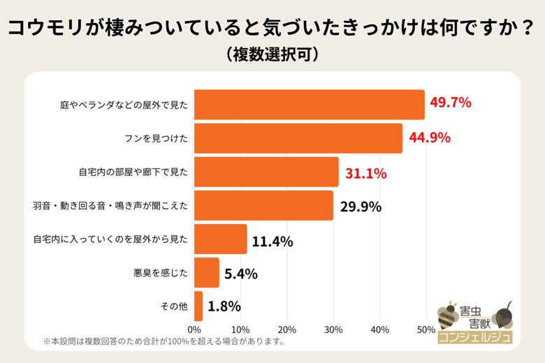 【リアル調査】コウモリを見かけたら、実は自宅に棲みついていた！被害の実態をリサーチ
