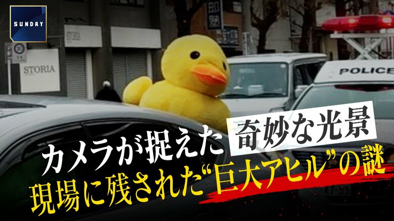事故現場に残された“巨大なアヒル”の謎　時速120キロで電柱にぶつかり対向車と衝突　奇妙な光景の理由は「二次被害の防止」か｜FNNプライムオンライン