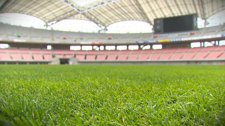 日本代表戦に間に合うのか!? 猛暑で芝生が枯れたスタジアムは今… “緑が美しい”姿に｢十分回復｣【新潟発】｜FNNプライムオンライン
