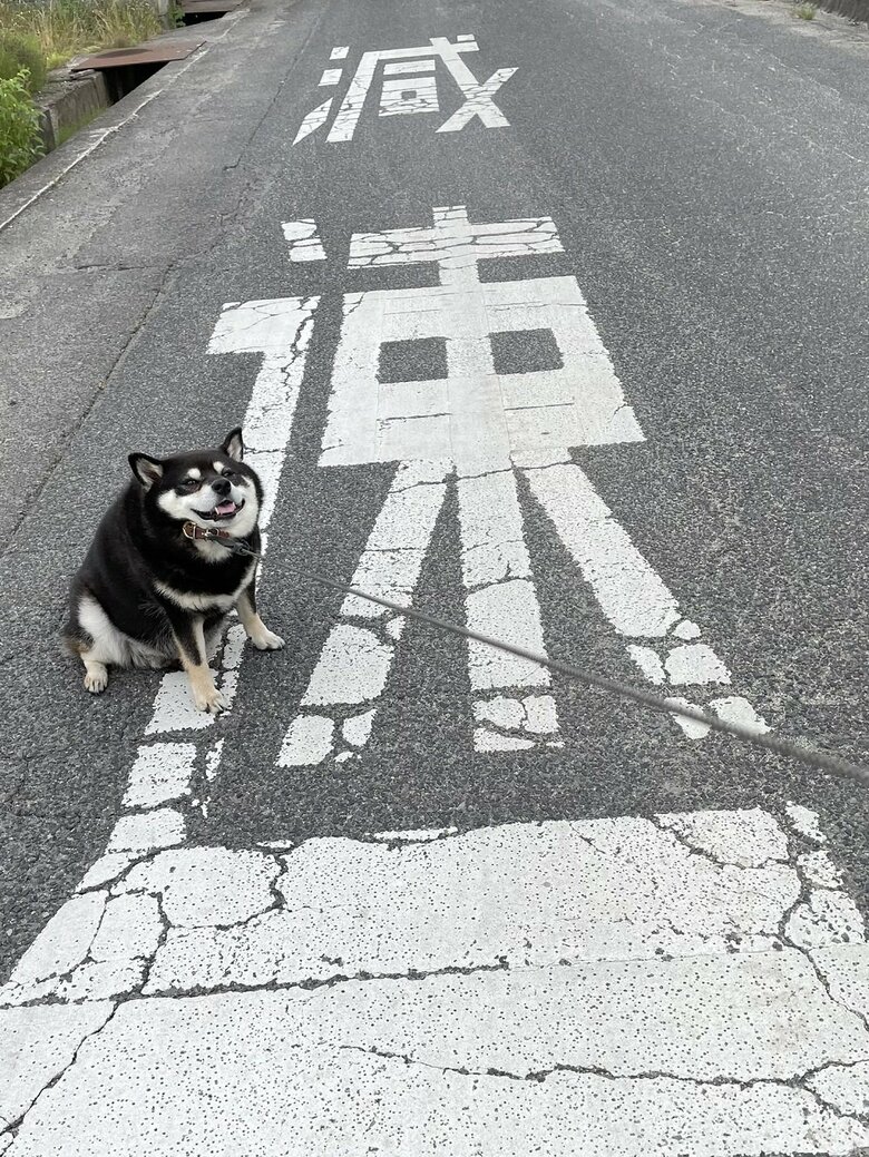 「減速」の文字の上で減速してしまったたろうくん