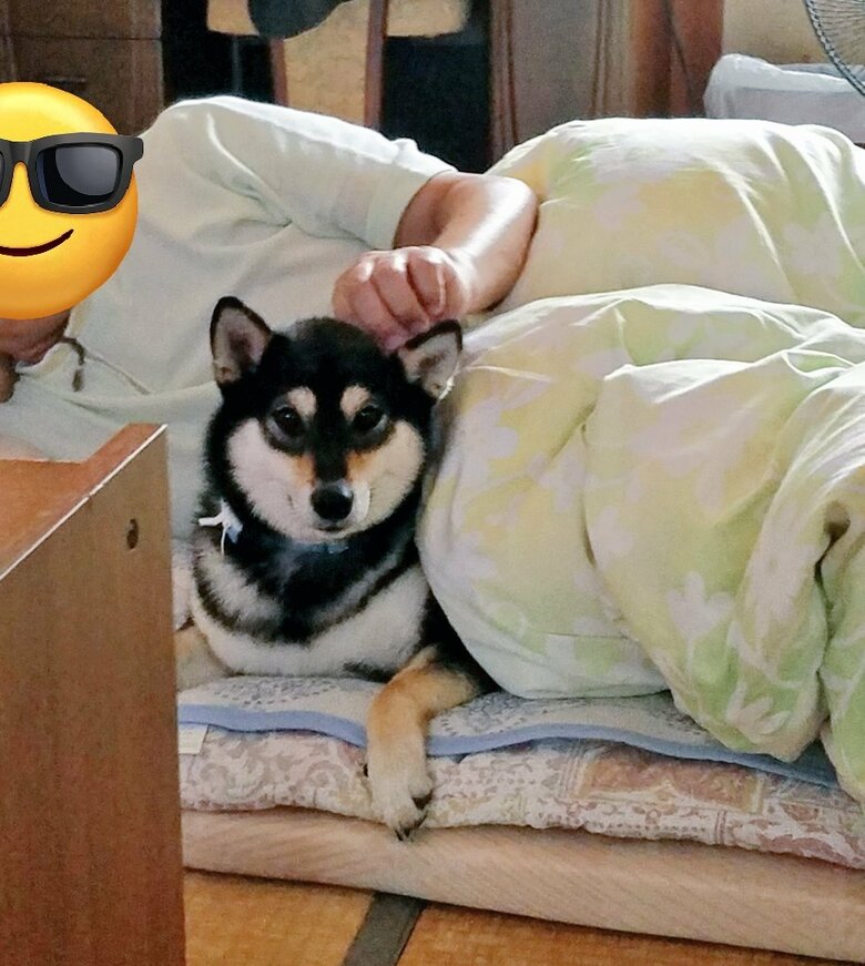 お父さんが大好き