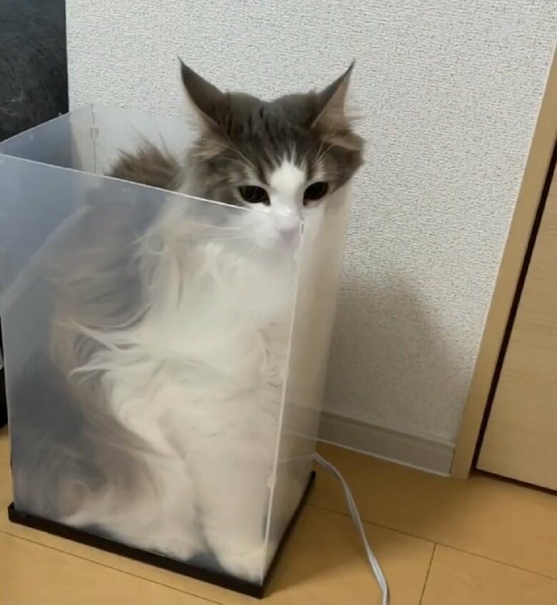 一時停止してしまうララちゃん