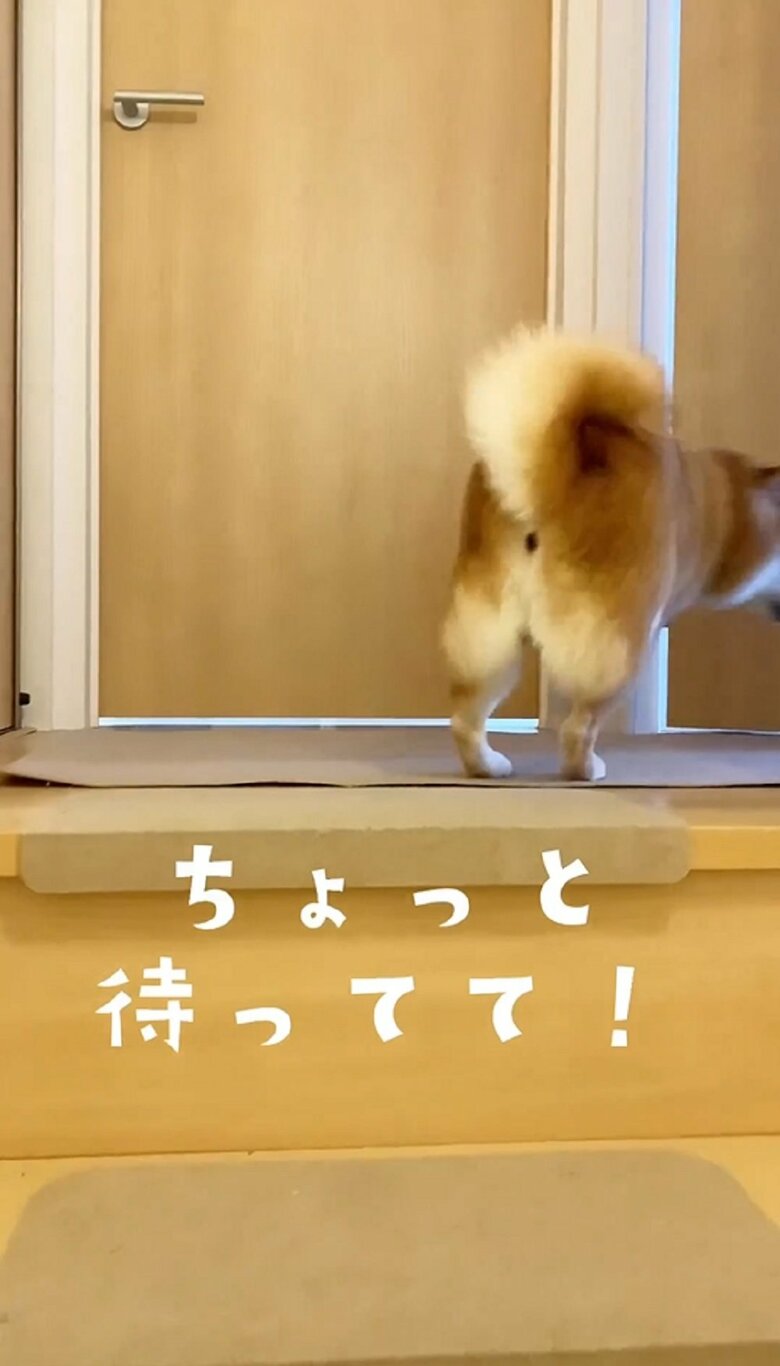 そして、部屋の奥へと駆けていく