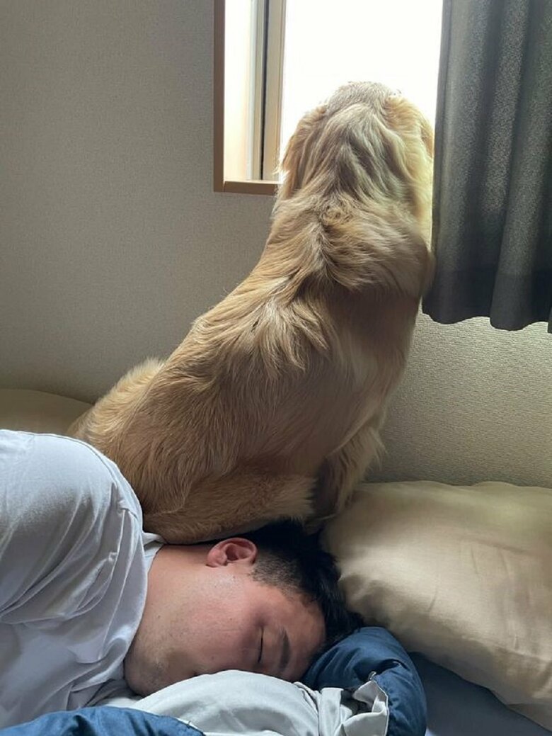 抱っこできないなら…旦那さんの頭の上にお尻を…