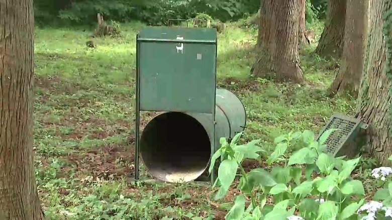 クマ捕獲用のわな