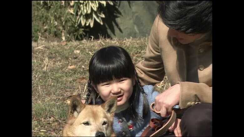 平成18（2006）年