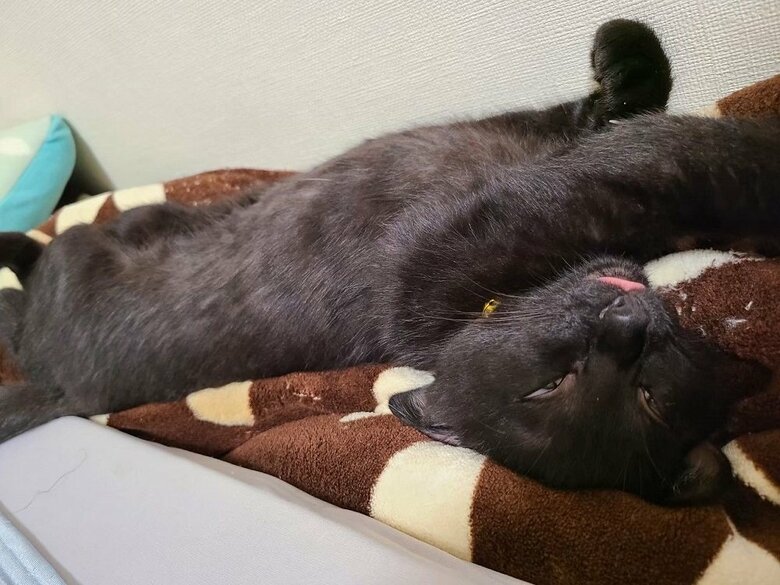 たまに見せるという寝ている時のすごい顔