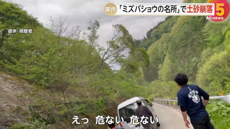 林道脇の斜面から土砂とともに、大きな木々が崩れ落ちる一部始終③