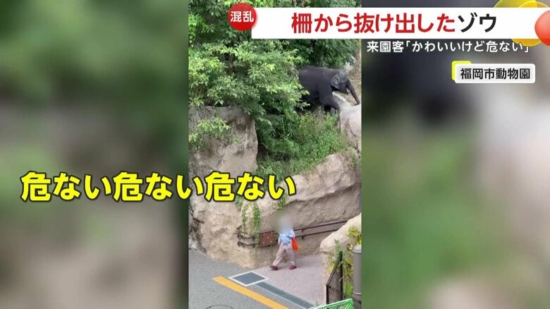 知らずにそばを通る人（視聴者撮影）