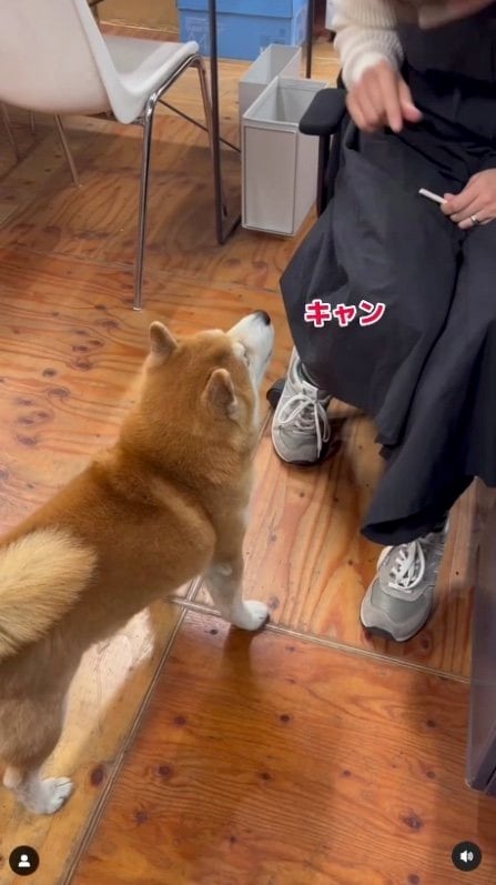 提供：エイトデザイン