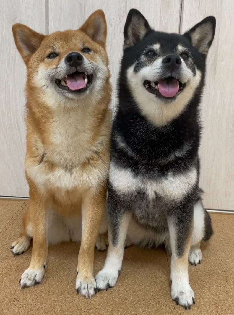 左：りなちゃん　右：みくちゃん