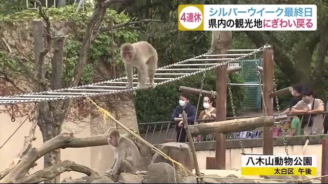 宮城県内観光地 にぎわいが戻ってきた シルバーウイーク最終日