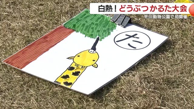 動物園流“かるた”で子どもの好奇心が急上昇