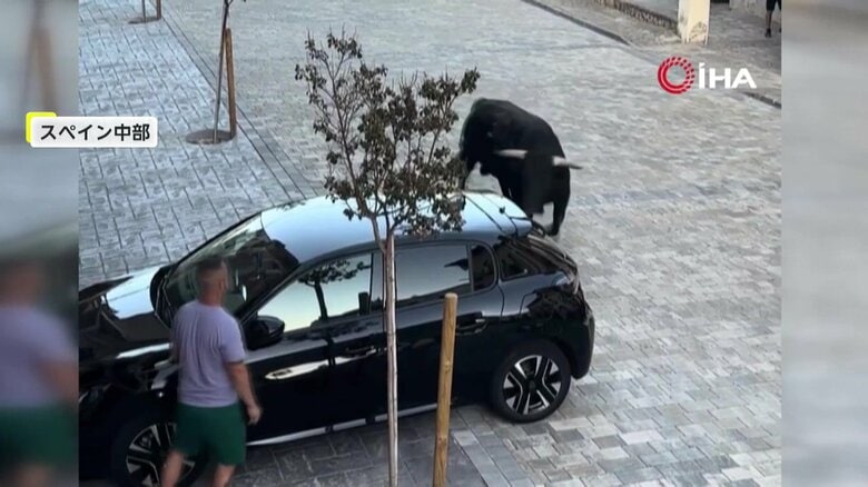 闘牛が止まっていた黒い車に向かって突進する一部始終①