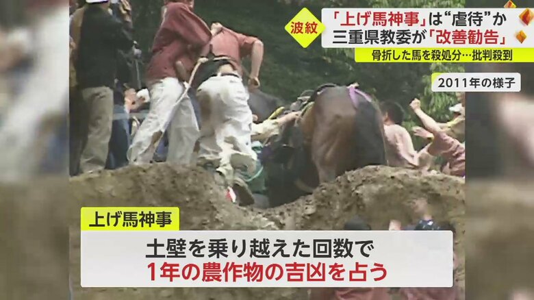 2mの高さの土壁を乗り越えた馬