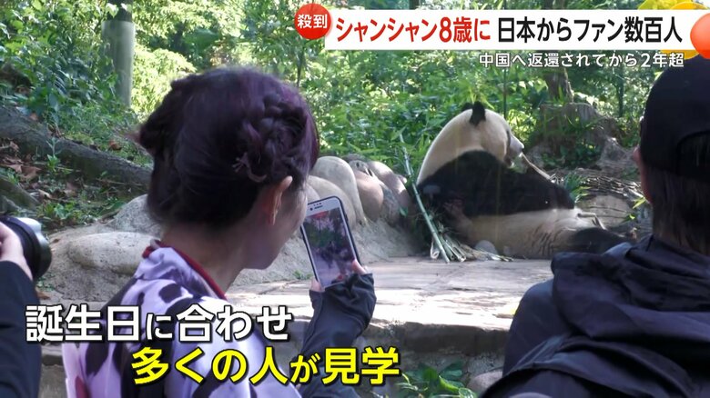 日本から数百人のファンが駆けつけたシャンシャンが飼育されている四川省の施設