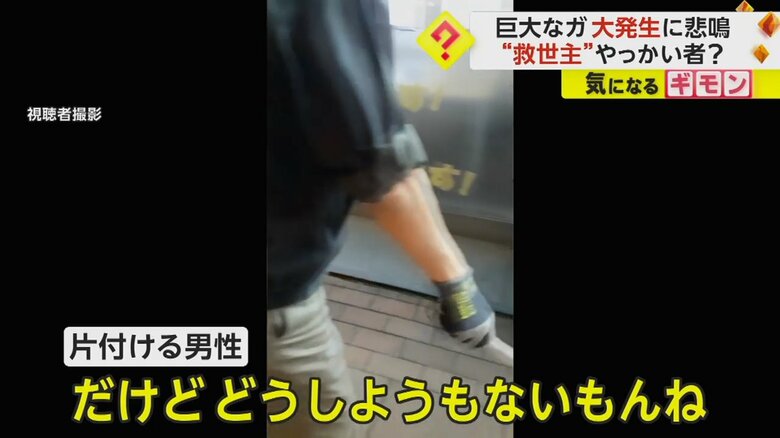 クスサンを片付ける男性は「どうしようもないもんね」と語った