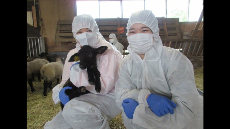 2024年5月　栃木・御料牧場（提供：宮内庁）