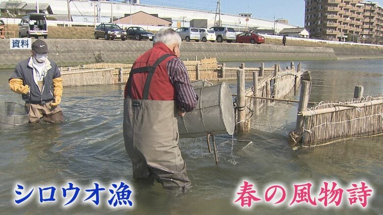 「やな」と呼ばれるシロウオ漁（資料）