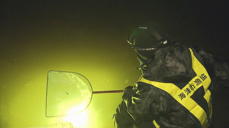 シラスウナギを取る漁師