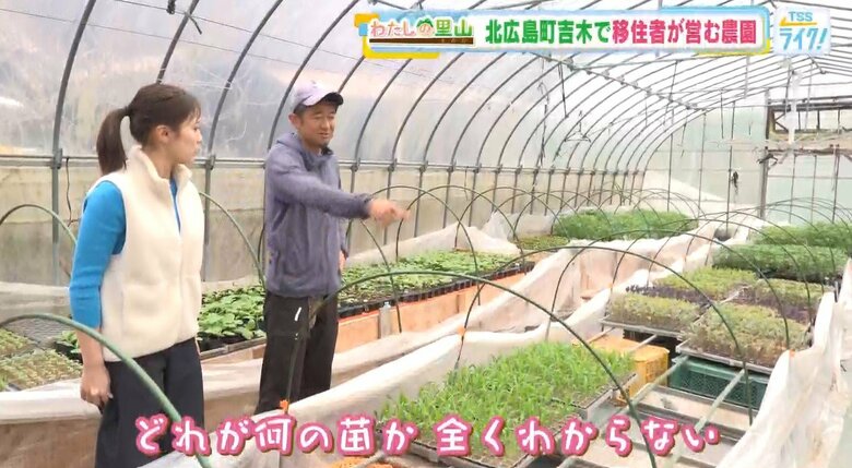 特別に栽培ハウスを見学させてもらう