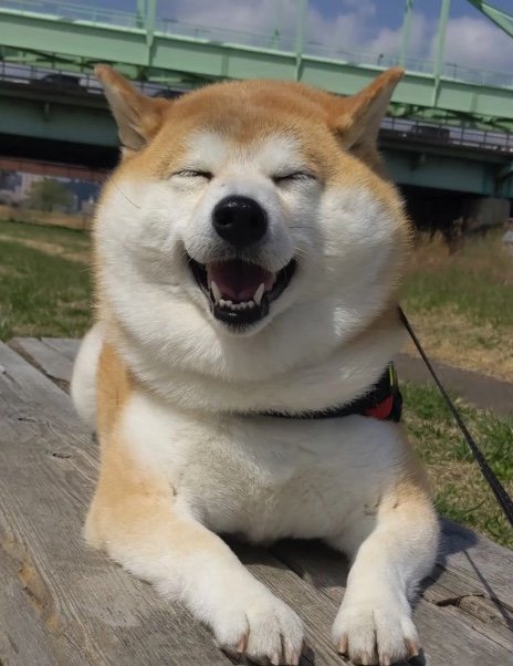 提供：natsumi.nnnさん