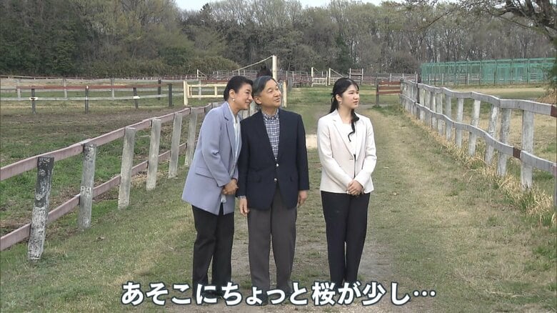 両陛下の頭がコツンとぶつかってしまう場面も