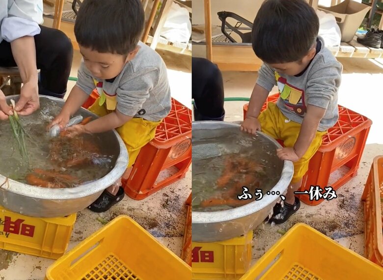 ニンジンを洗っている途中に「ふぅ…」と一休み（提供：あらかわキッズさん）
