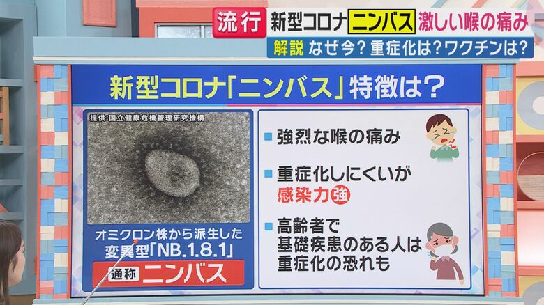 オミクロン株から派生した、変異株の通称「ニンバス」