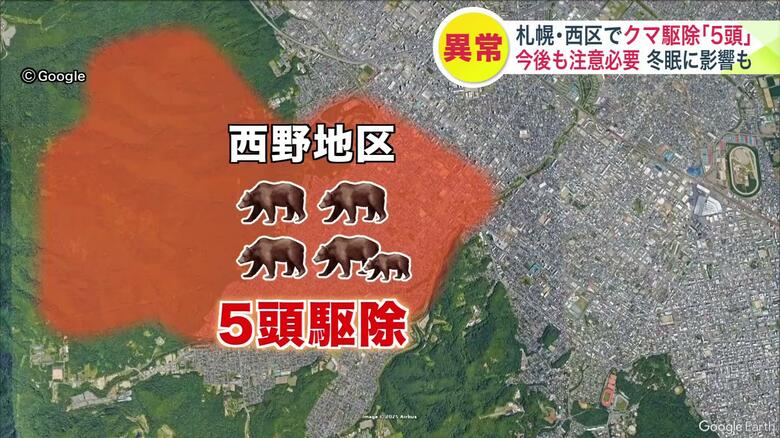 札幌市西区の西野地区ではクマ5頭が駆除された