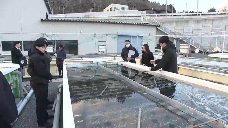 工場見学の受け入れを新たに始めた元正榮北日本水産