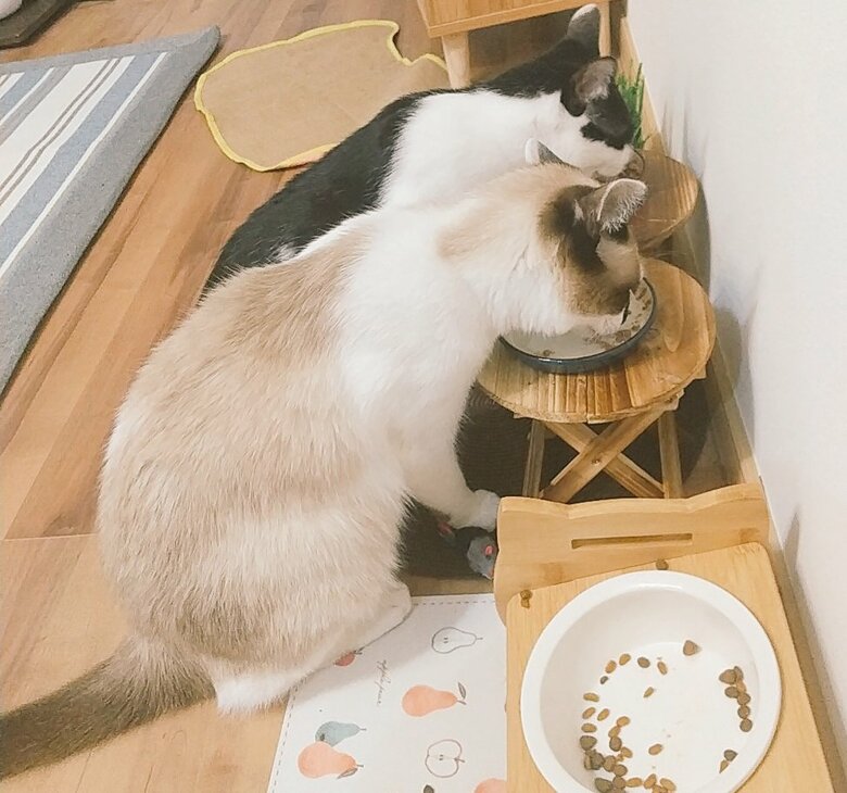 提供：かふぇらてさん