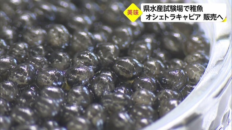 つぶつぶが輝いて…