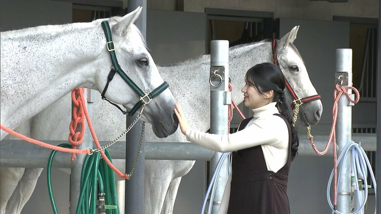 芦毛の「月智」をなでられる愛子さま（去年11月）