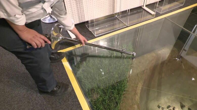 ポールが倒れガラスにヒビが入った