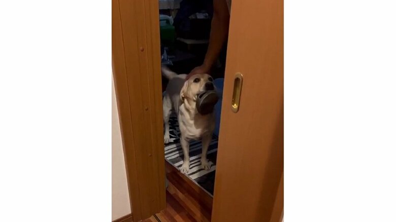 開けてもらった後の様子