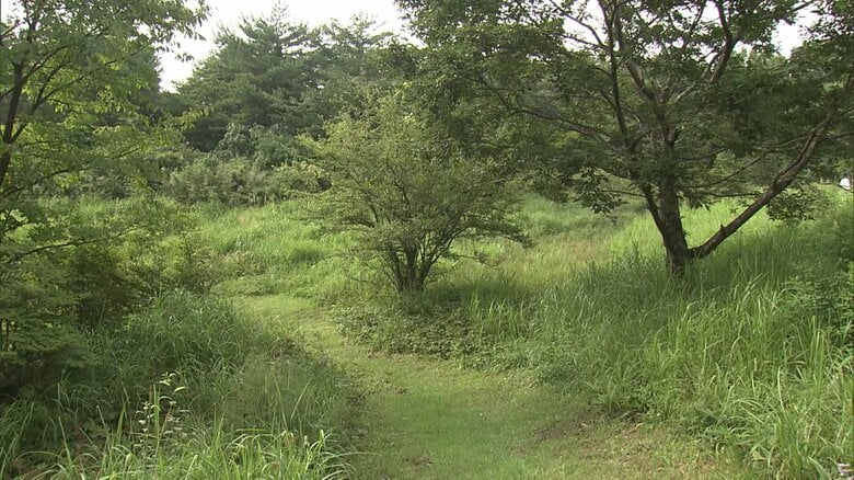 那須御用邸の敷地内は緑がいっぱい　2019年8月