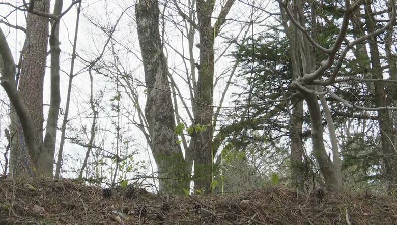 別荘地の事故現場