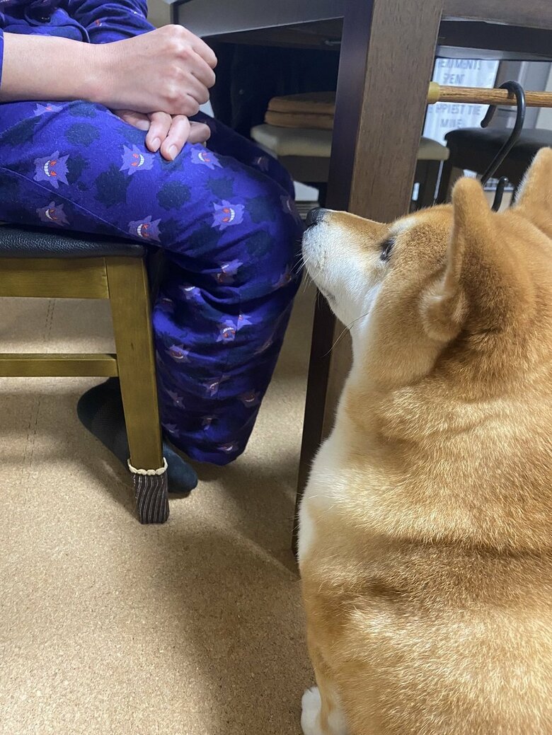 お父さんへのおやつのおねだり