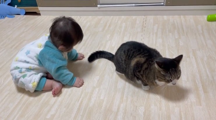 よーく見て…