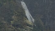 「正式な滝としては認定されていない」のに落差日本一超え　称名滝の隣に現れた「幻の滝」　遊歩道が開通