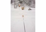 「うごいてください！」散歩が終わりそうになると止まって“抗議”する柴犬…長いリードの先にポツン