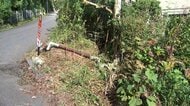 道路脇に車転落…運転していた73歳男性が意識不明の重体「車が斜めになっている」110番通報 大分・別府市