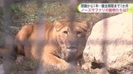 【撤去期限まで残り1カ月】閉園から1年経った”旧ノースサファリ”初潜入！ライオンやポニーが元気な様子見せるも、まだ200匹以上が園内に…移転先は依然不透明―札幌市が完全撤去命じる違法建築物の現状は