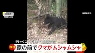 【独自】「びっくり！」自宅の前で子グマが「ムシャムシャ」食事して横になるリラックスモードで“2時間滞在”…猟友会が追い払うも「また来るかも」　秋田市