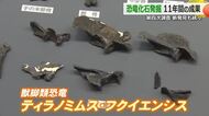 新種の獣脚類型恐竜「ティラノミムス・フクイエンシス」など7万9000点の化石を発掘　福井県立恐竜博物館の第四次発掘調査　期間限定で24日から展示