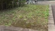 福島第一原発事故の「除染土」を仙台合同庁舎で再生利用へ　東京都以外での活用は初めてと政府が発表