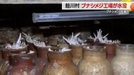 ブナシメジが“ほぼ全滅” 豪雨で工場が浸水被害に　今シーズンの出荷は厳しい状況「このままだと廃業も」【山形発】