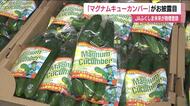 “大きい・曲がった”キュウリ「マグナムキューカンバー」がお披露目　福島・福島市