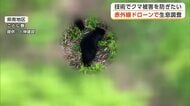 横手市の企業、ドローンでクマの実態調査　赤外線カメラが3頭の親子グマ捉える　秋田